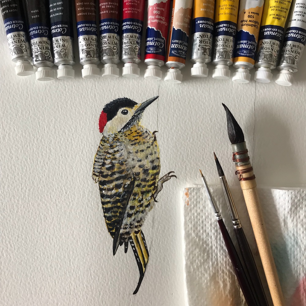 Coloquei estas imagens de aquarelas de pássaros como este pica-pau para mostrar a técnica de Mariana, mas ela trabalha com muitos temas, tanto nos workshops quando em seus trabalhos sob briefing para arquitetos, muitas vezes com propostas geométricas