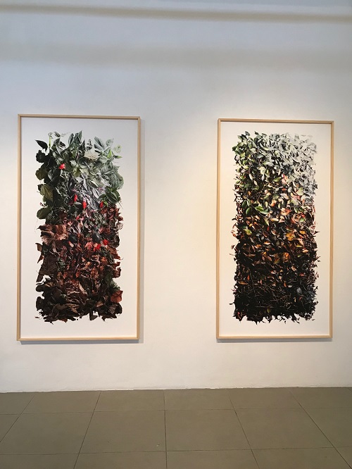 Obras de Dariano expostas na galeria Bolsa de Arte, em Porto Alegre (fotos Studio Prestes)
