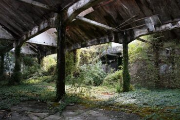 Um dos espaços é o do SNIA, uma ruína racionalista onde musgo cobre os pisos e a vegetação recupera seu espaço. (Fotos Alcova, divulgação)