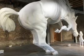 Obra The Horse Problem, da argentina Claudia Fontes, uma das imagens mais impactantes da mostra