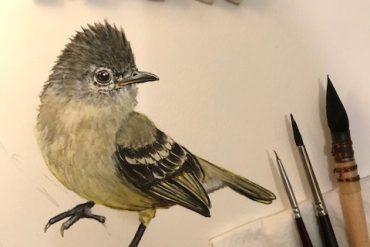pássaro-workshop-aquarela-mariana-prestes-eleone