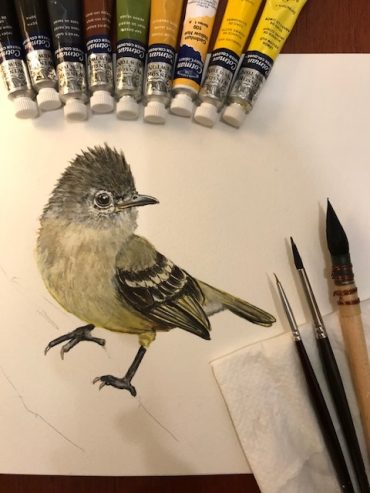 pássaro-workshop-aquarela-mariana-prestes-eleone